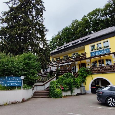 Austria Traveller Hotel Lenzing Luaran gambar